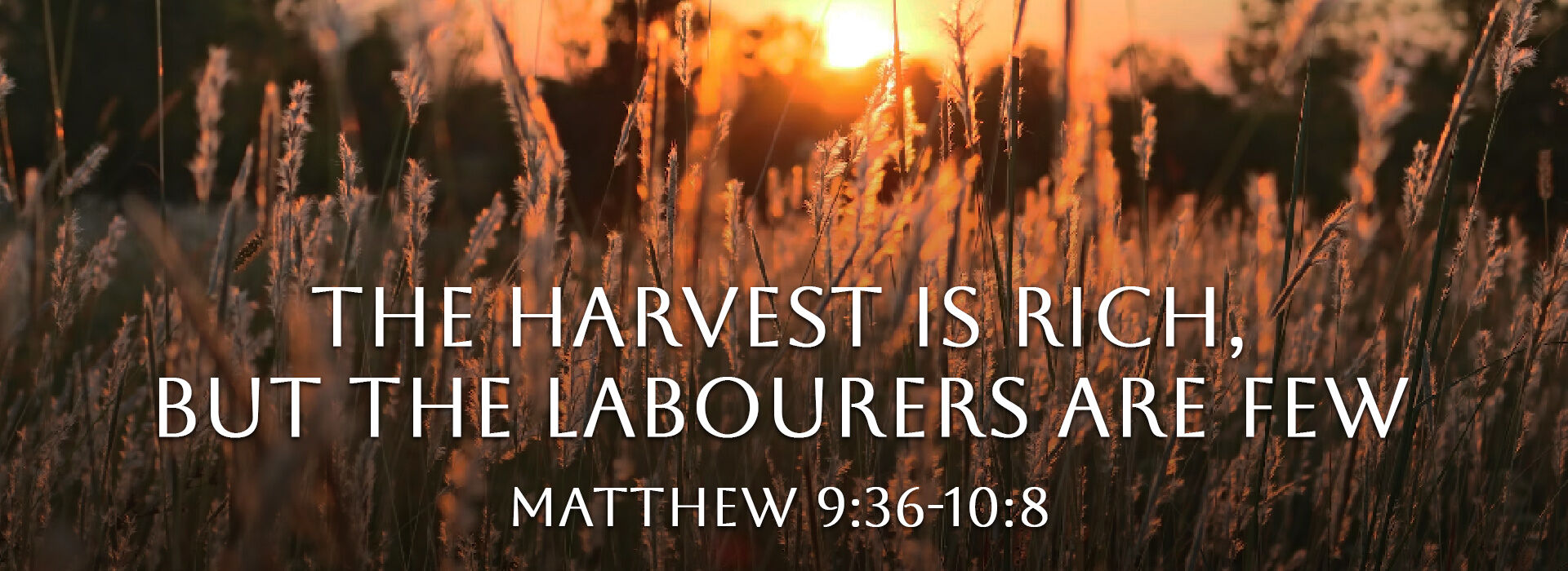 Matthew 9:36